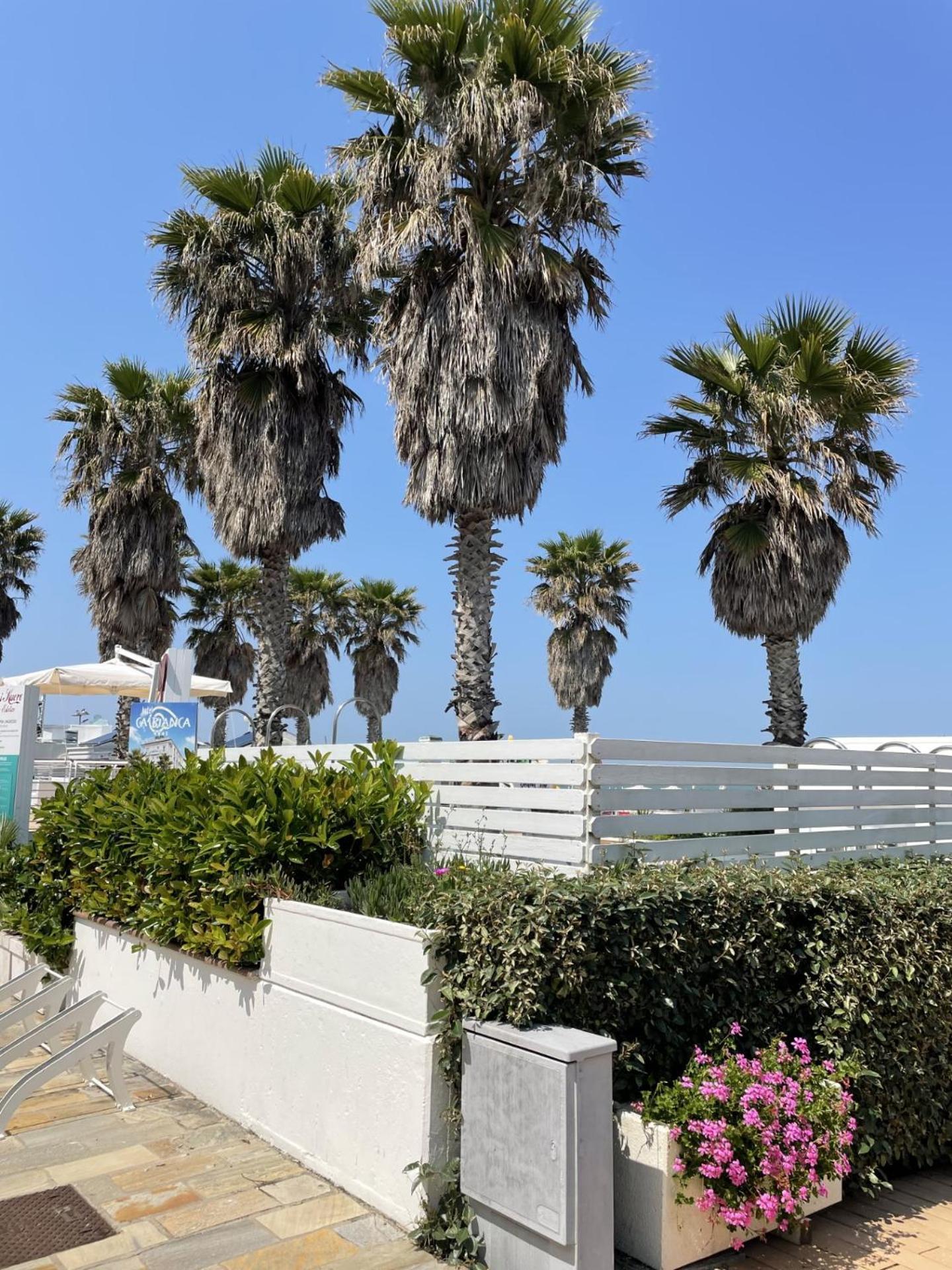 ריצ'יונה Hotel Napoleon מראה חיצוני תמונה